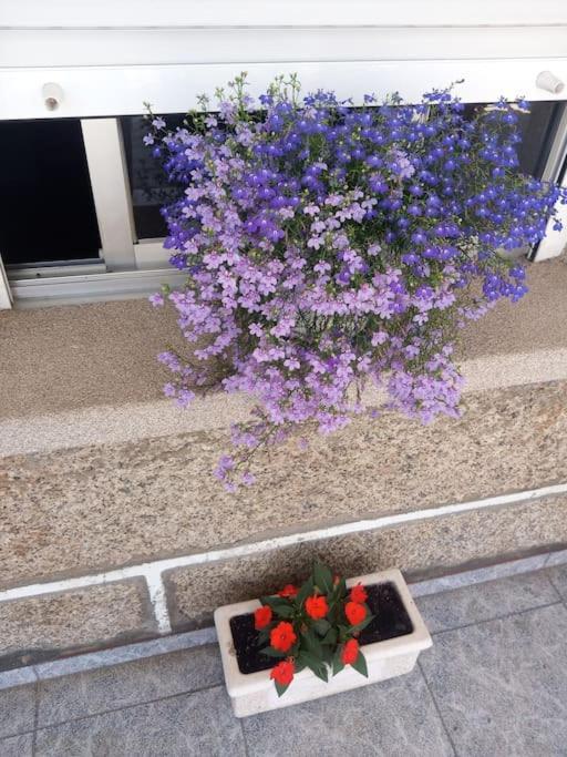 Precioso Apartamento En San Vicente De O Grove San Vicente do Grove Bagian luar foto